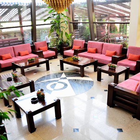 Hotel Tecadra Pipera Dış mekan fotoğraf
